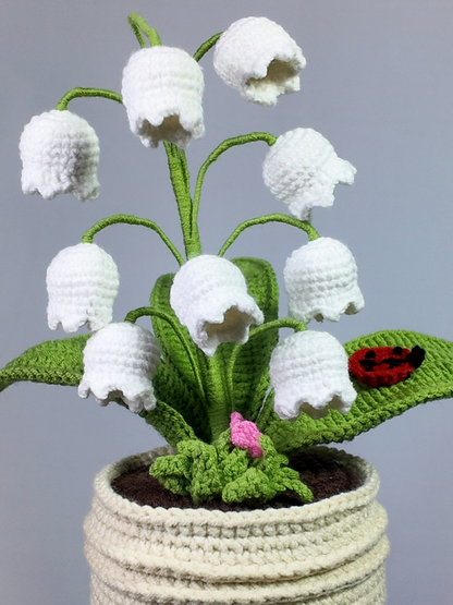 Lily of Valley Pot