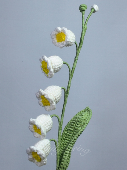 Lily of Valley