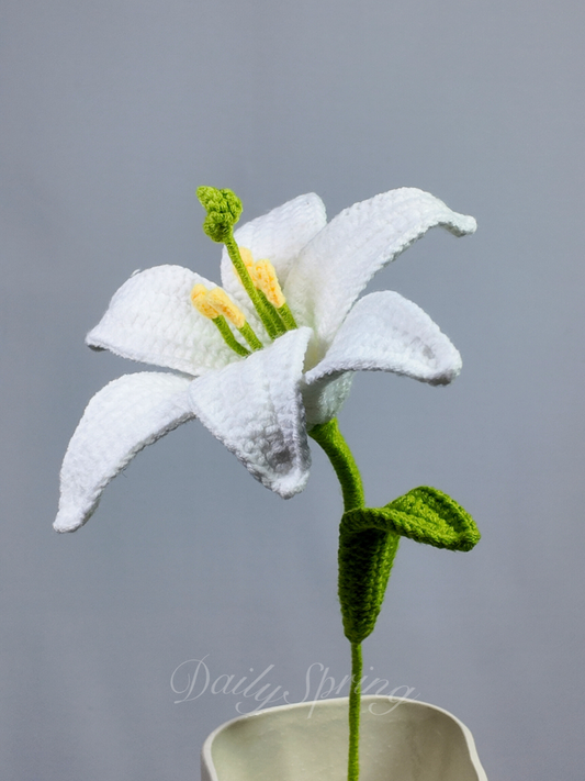 Lily