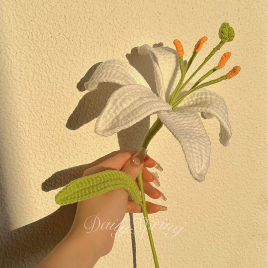 Lily