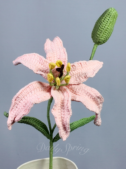 Lily with Bud