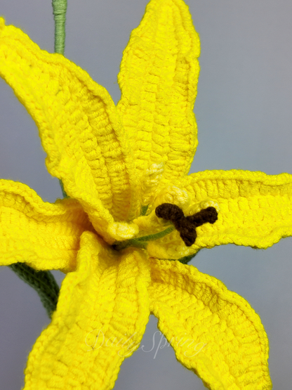 Lily with Bud