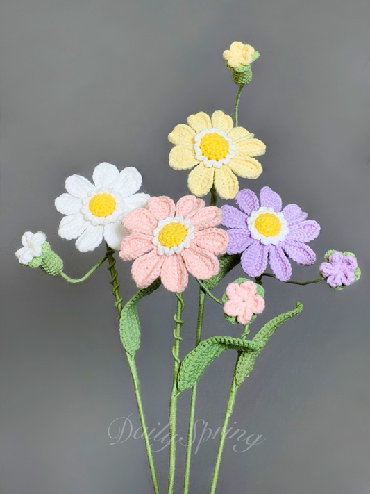 Mini Gerbera Daisy