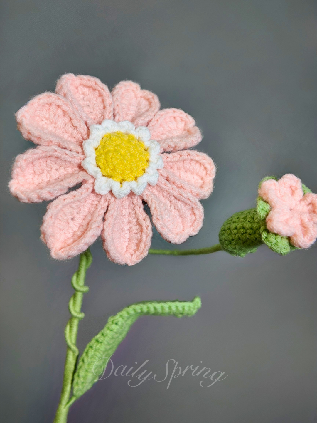 Mini Gerbera Daisy