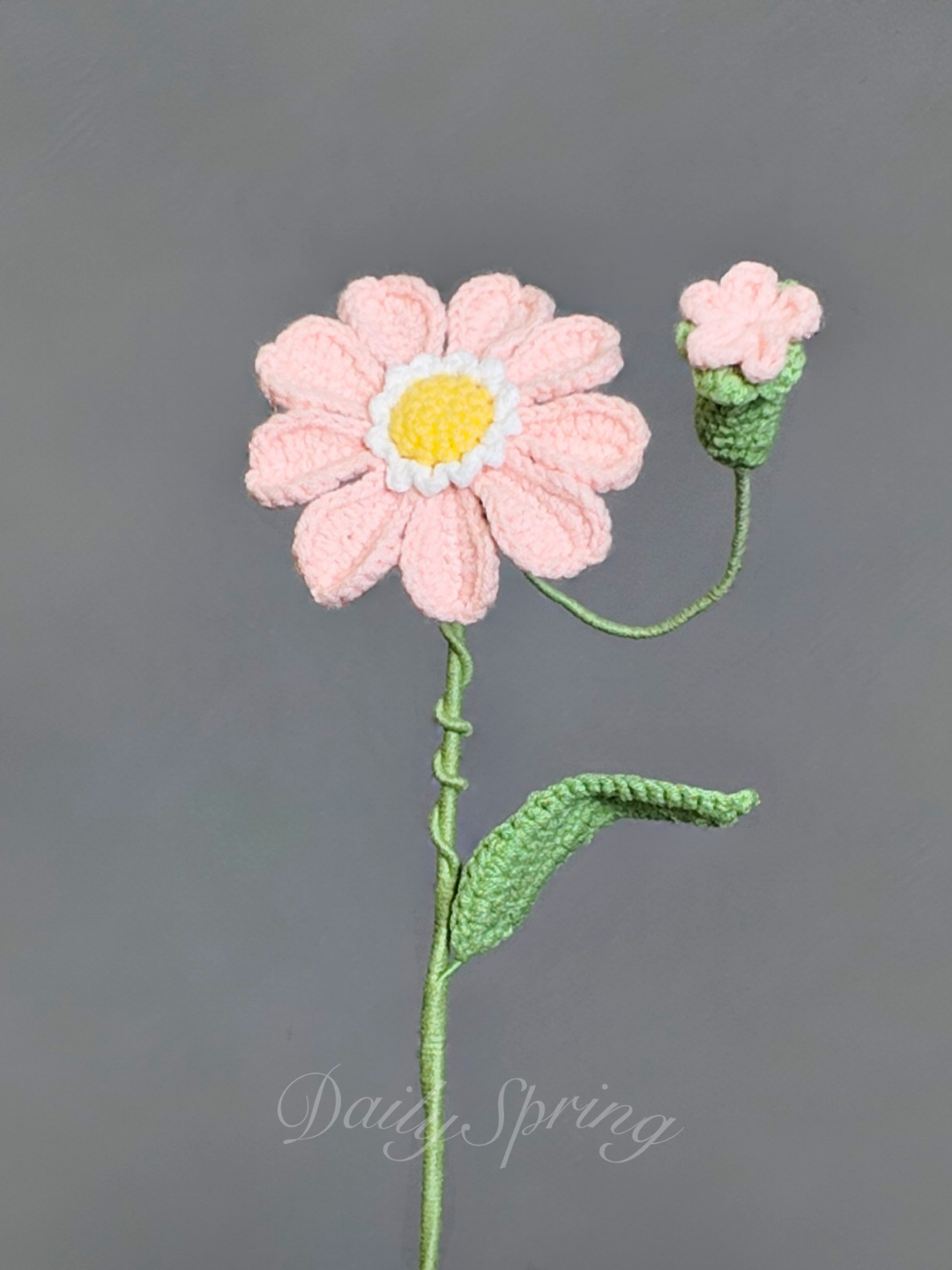 Mini Gerbera Daisy