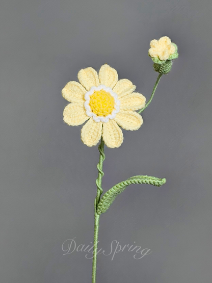 Mini Gerbera Daisy