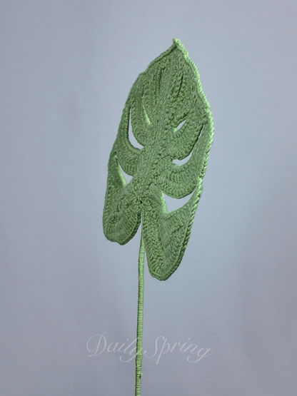 Monstera leaf