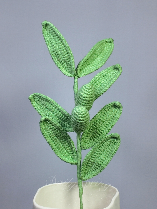 Olive Leaf