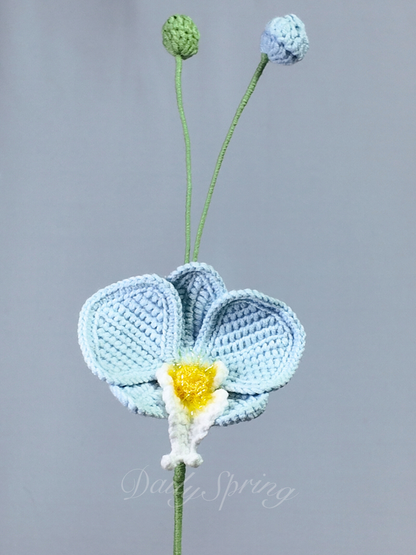 Orchid