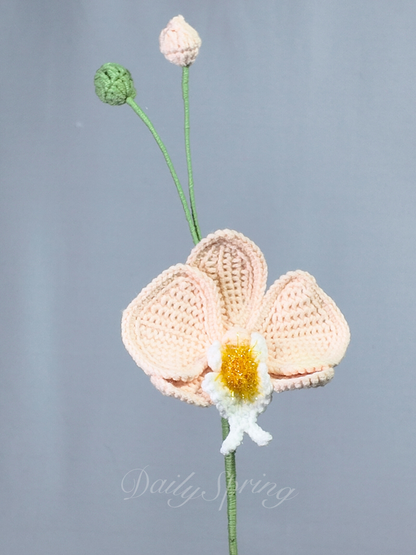 Orchid