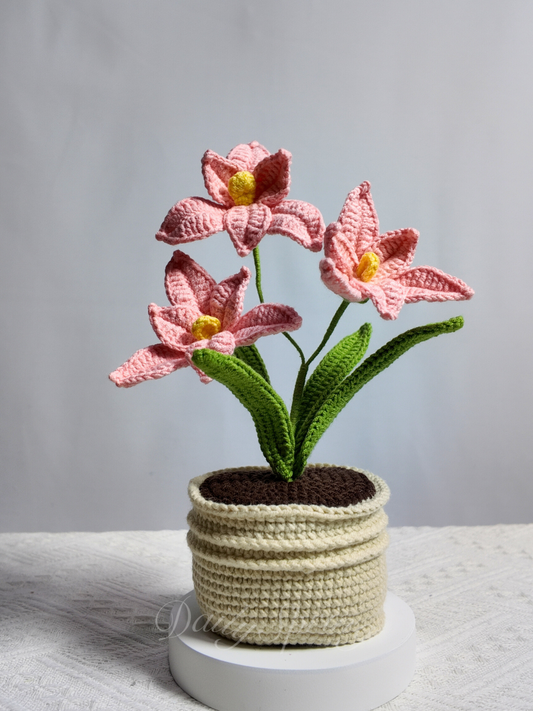 Orchid Pot