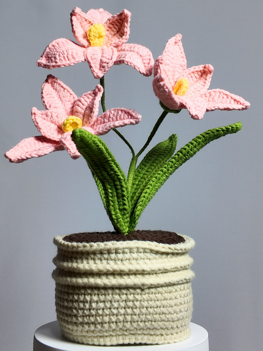 Orchid Pot