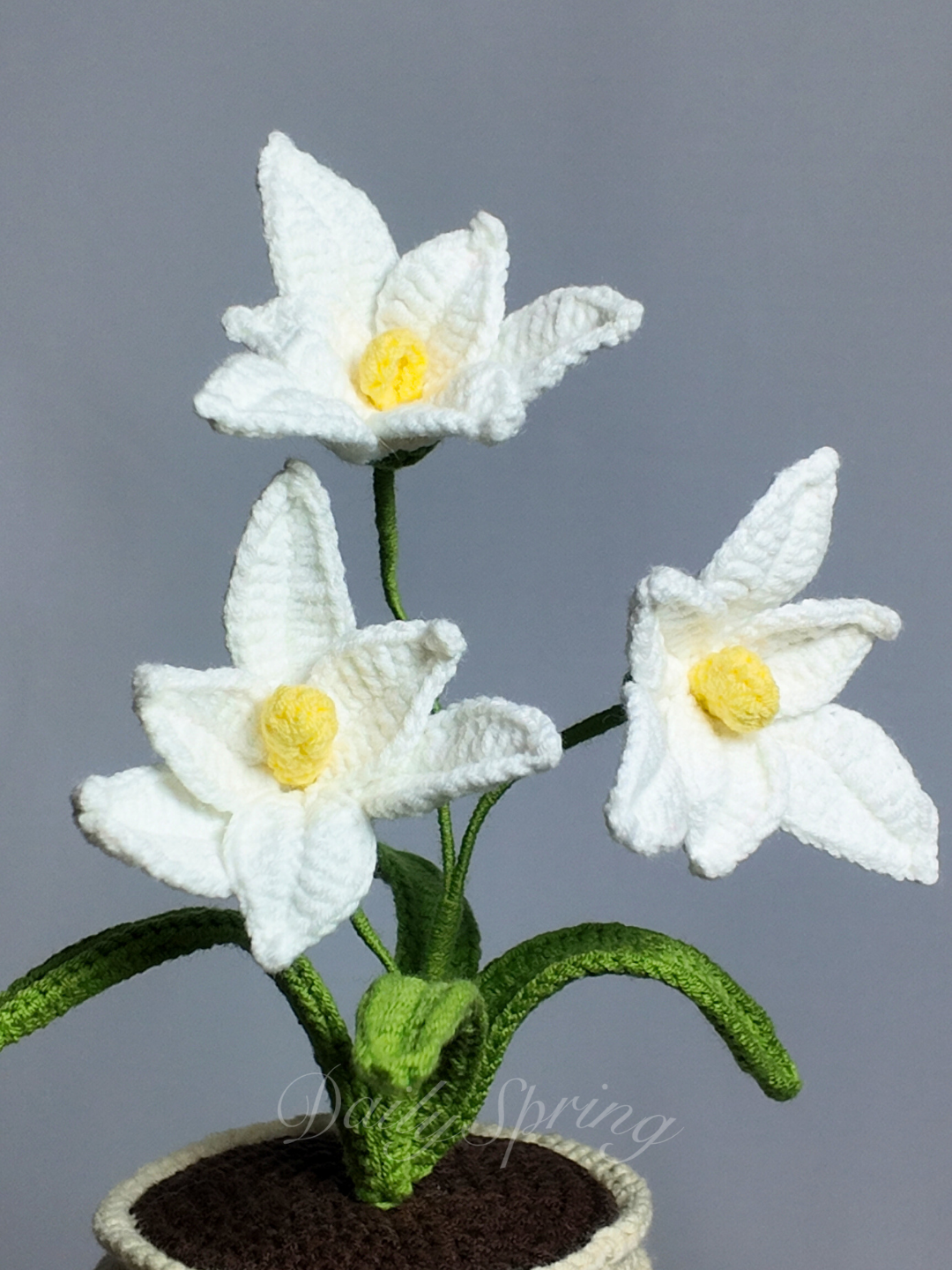 Orchid Pot