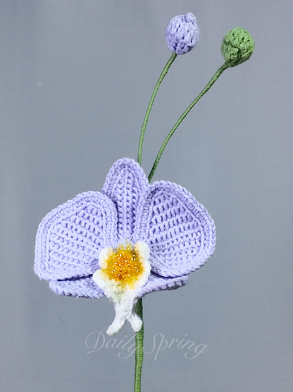 Orchid