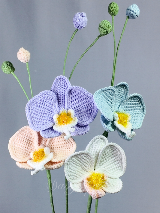 Orchid