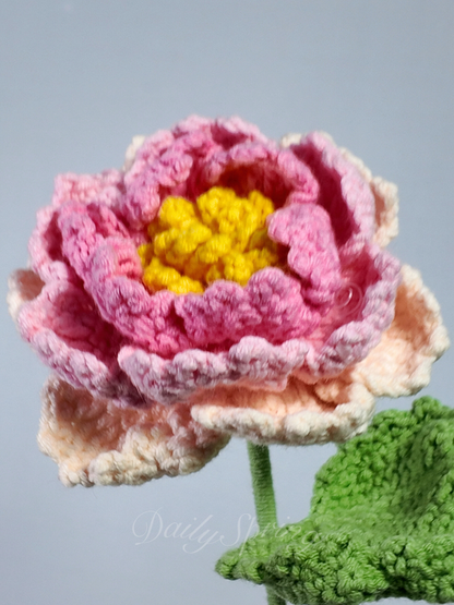 Peony