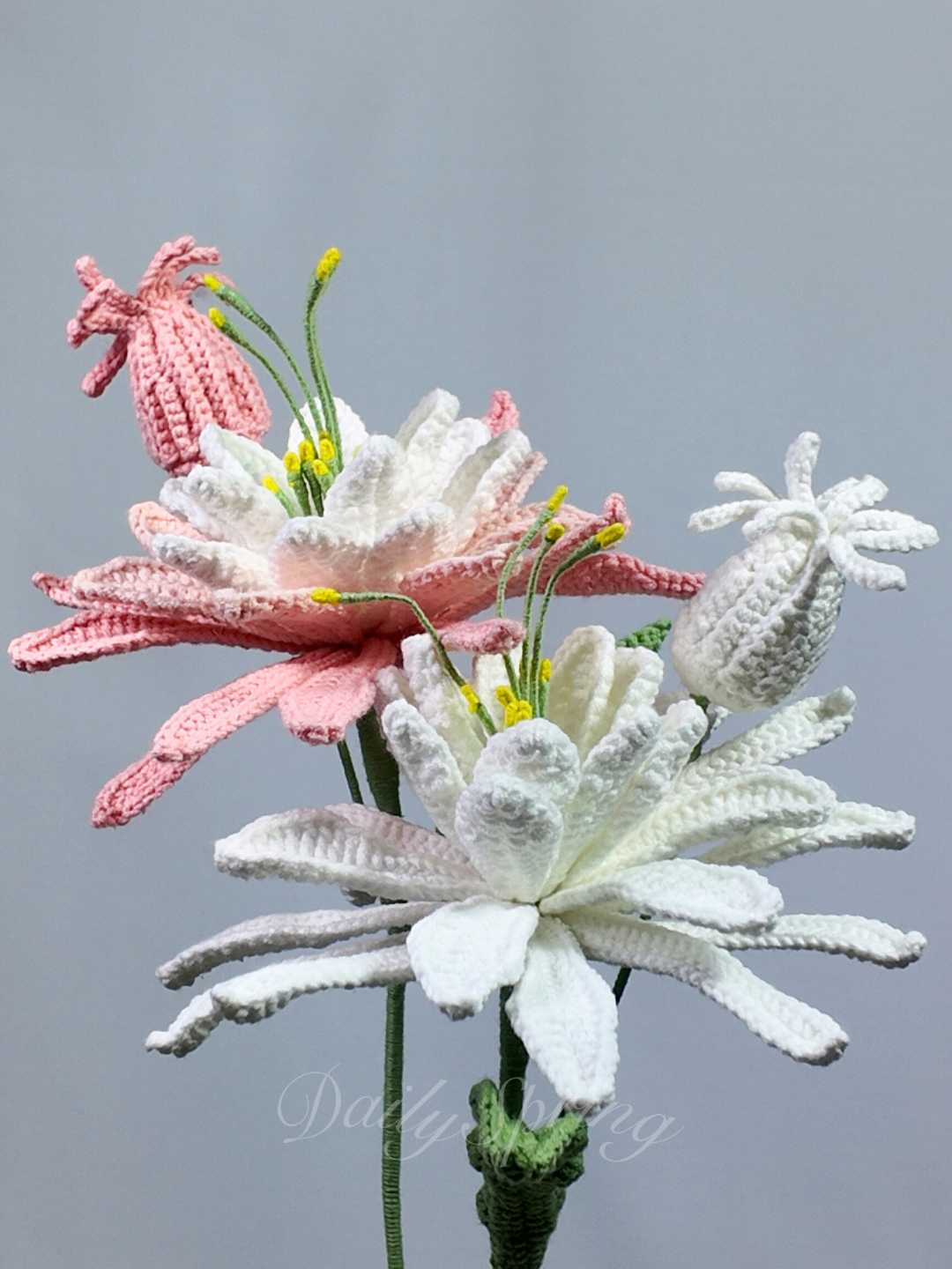 Subscription Flowers - Single Stalks