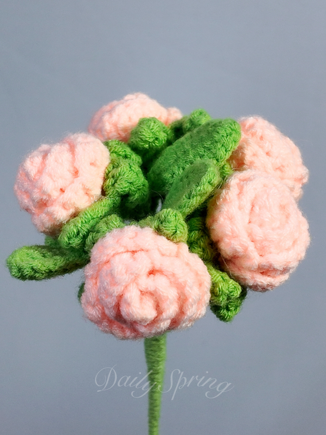 Baby Roses