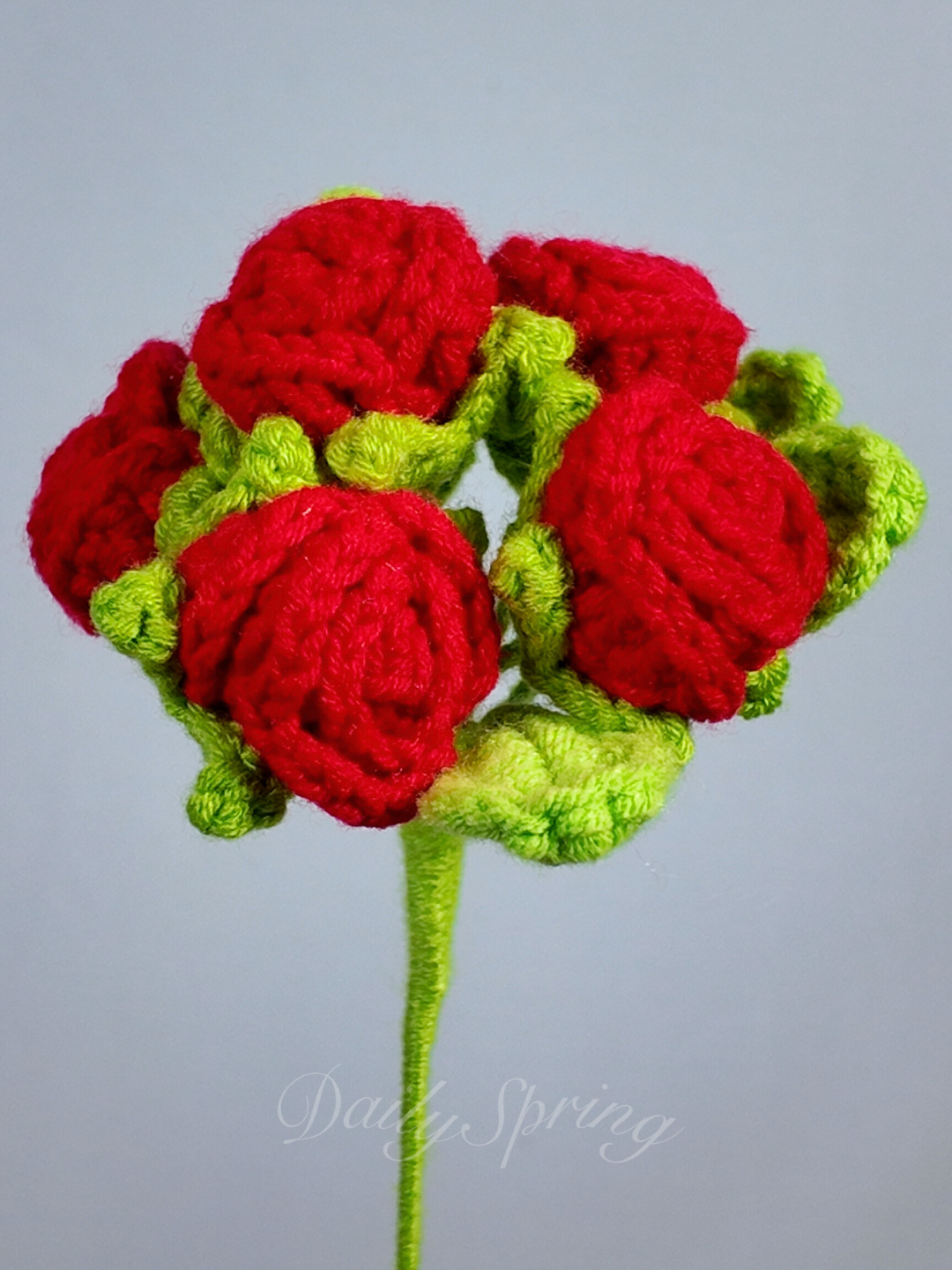 Baby Roses