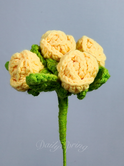 Baby Roses