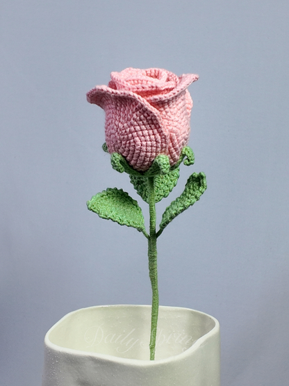 Belle Rose