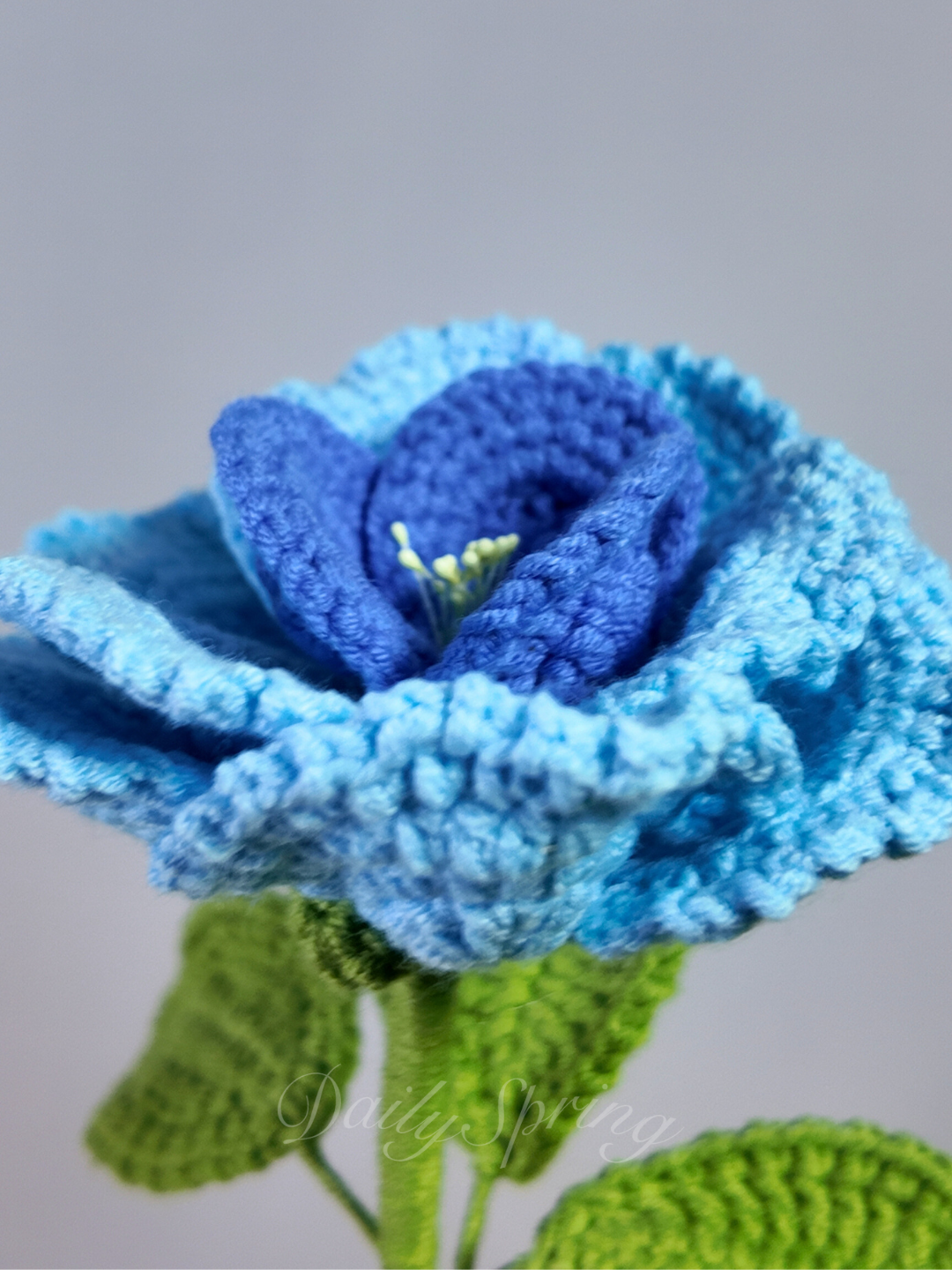 French Rose