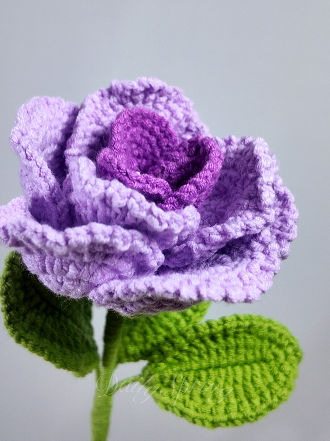 French Rose