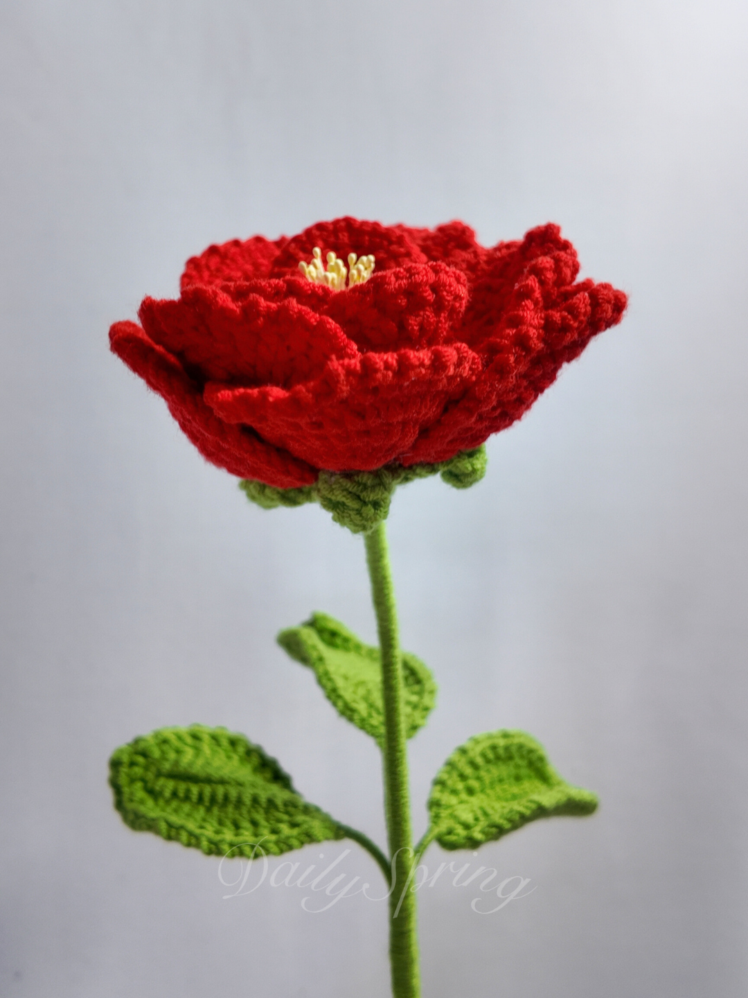 French Rose