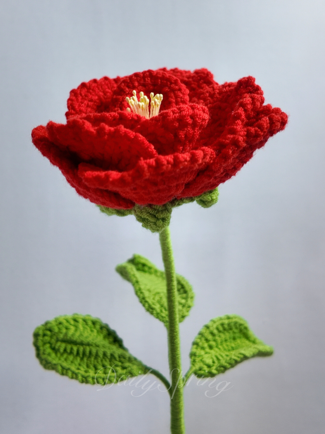 French Rose