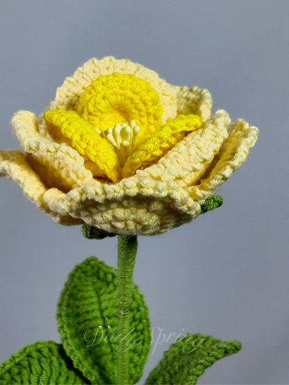 French Rose