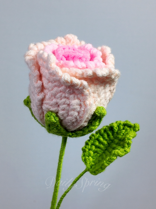 Garden Rose