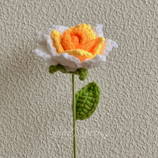 China Rose