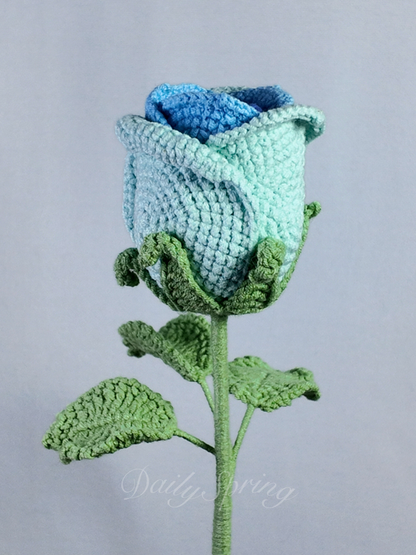 Belle Rose