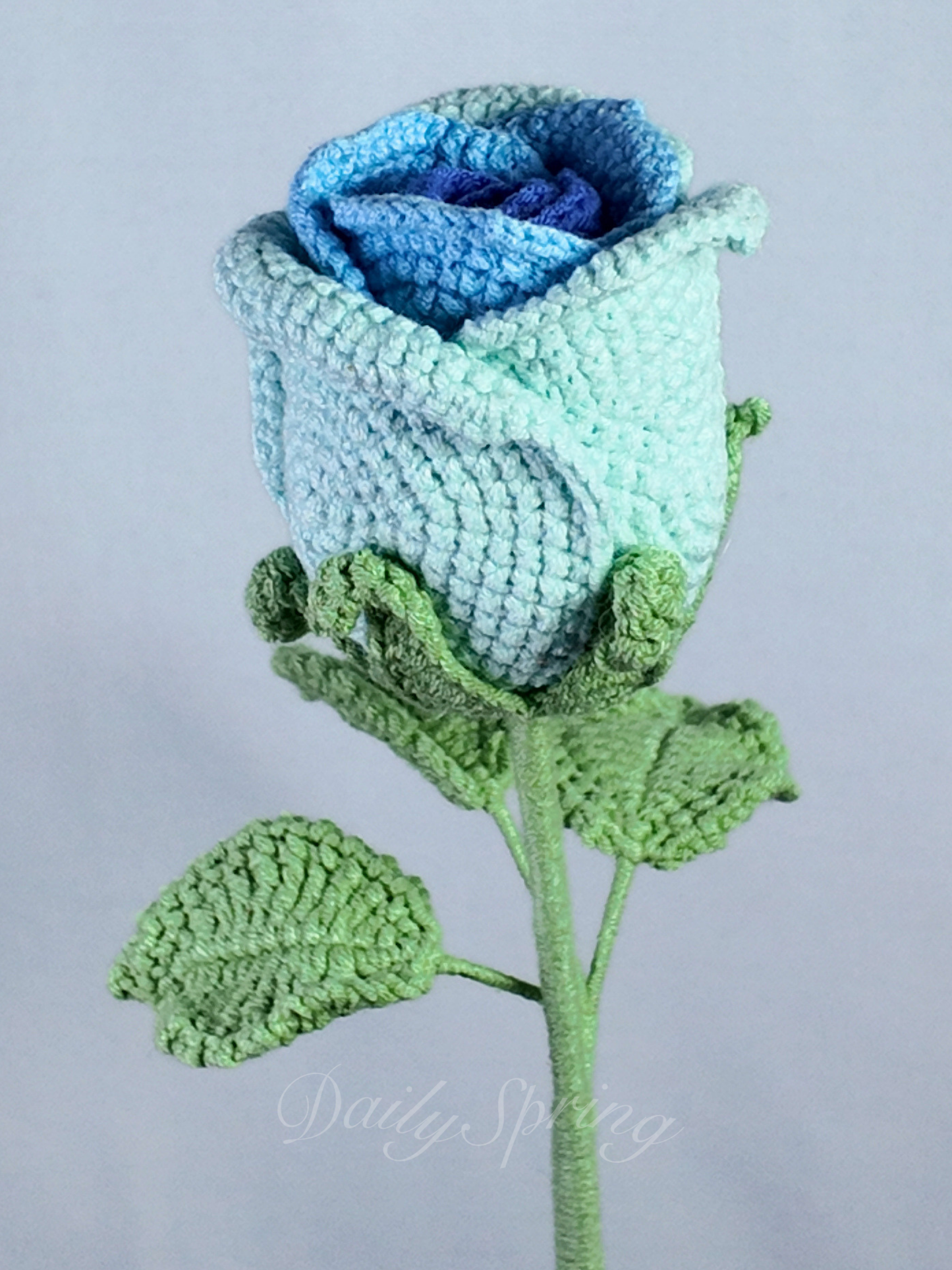 Belle Rose