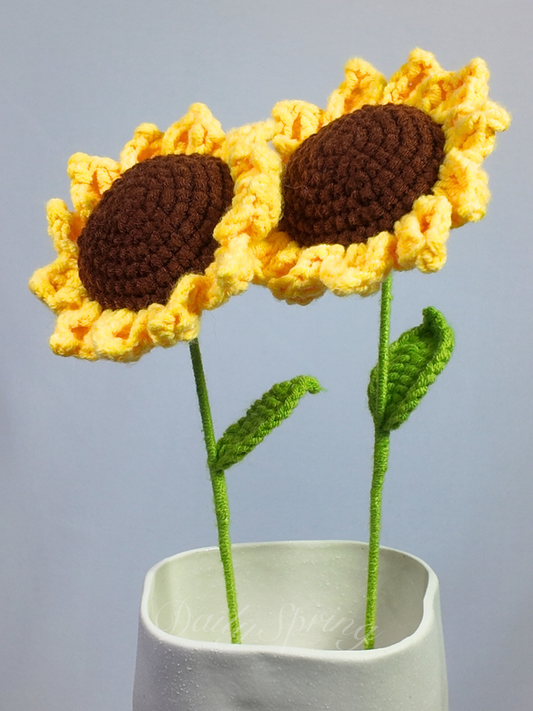 Baby Sunflower
