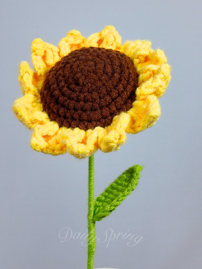 Baby Sunflower