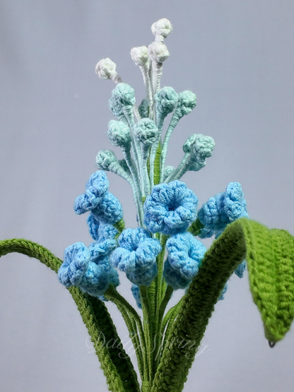 Snapdragons