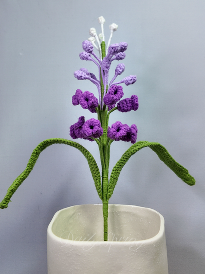 Snapdragons