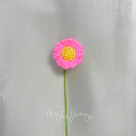 Daisy