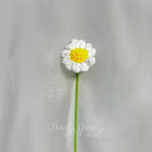Daisy